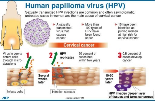 Significance Of The HPV Vaccine