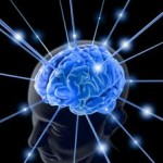 brain-2