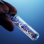 Standard B-Conformation DNA